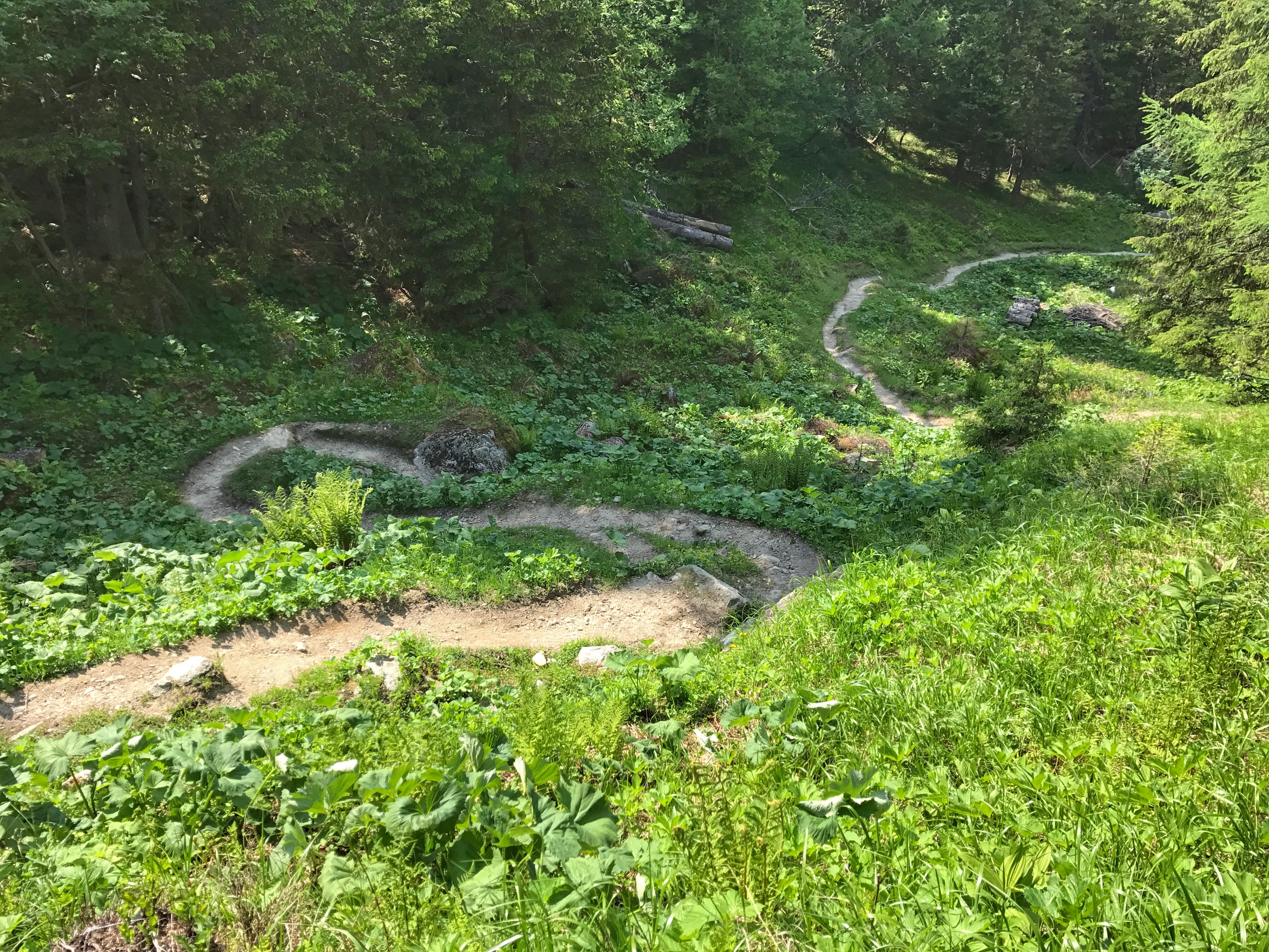 3 down switchbacks.jpg