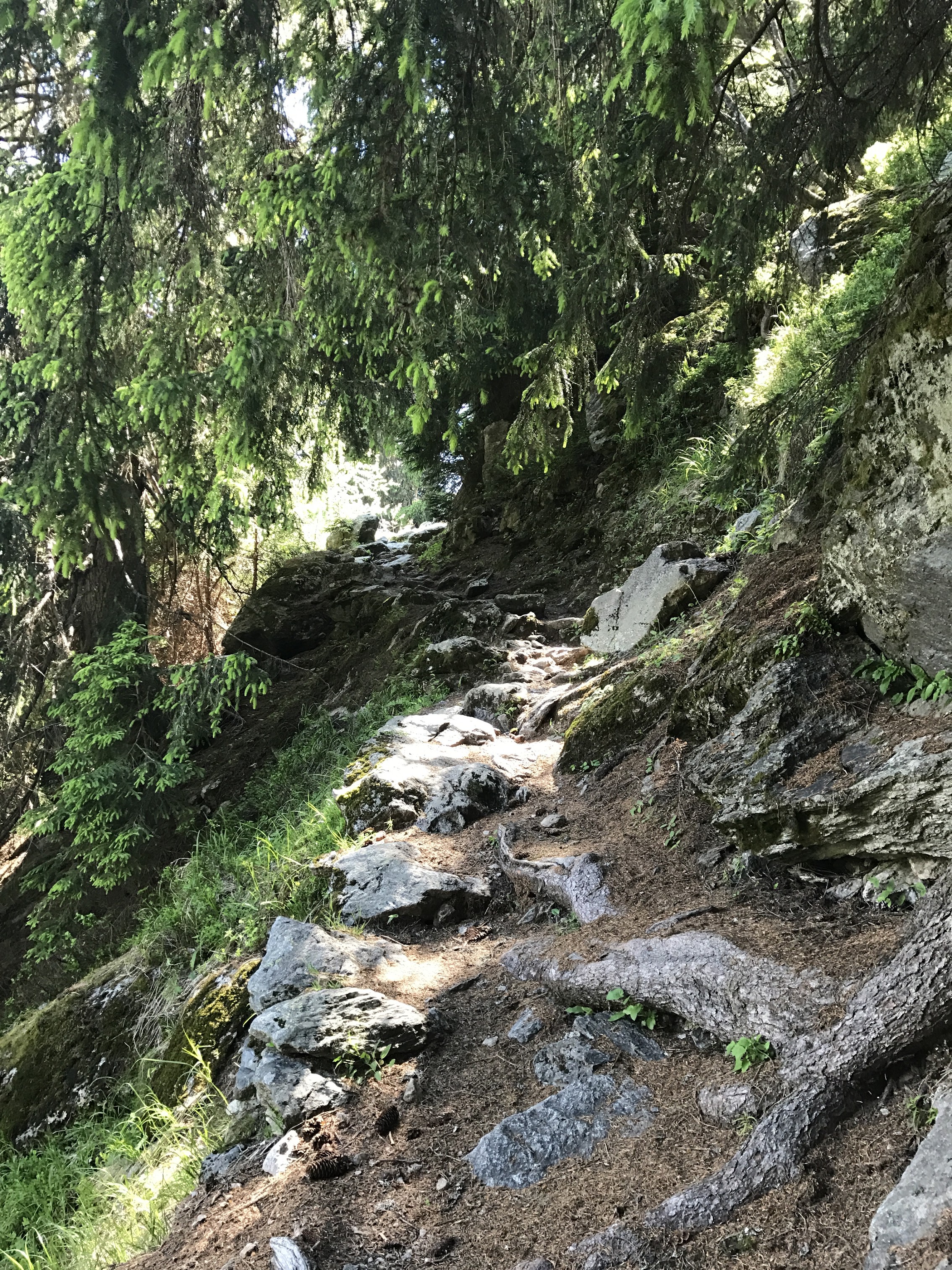 day 2 descending .JPG