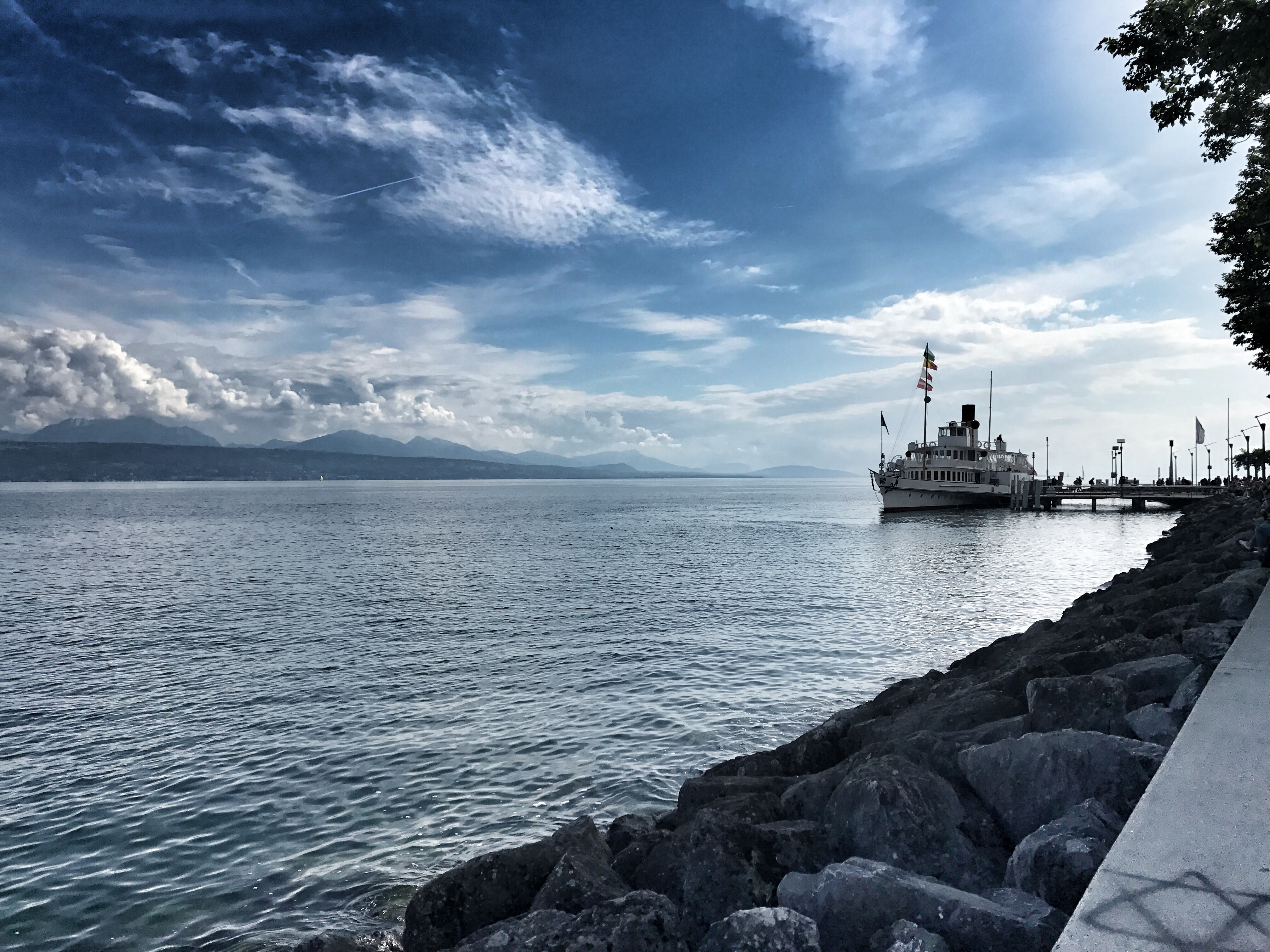 lake from luasanne.jpg